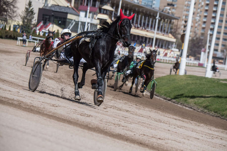 Объектив AF-s Nikkor 80-400 f/4.5-5.6 VR, 1/3200 c, f/6,3 ISO 500