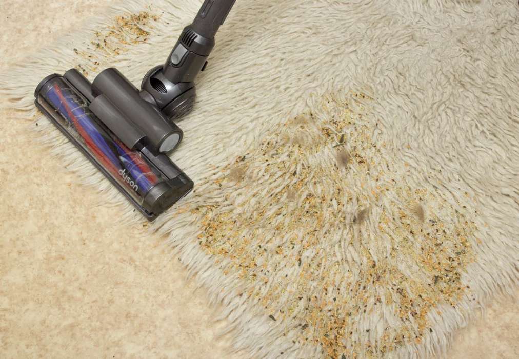 Пылесос Dyson DC52 Animal CompleteIMG_0079_opt