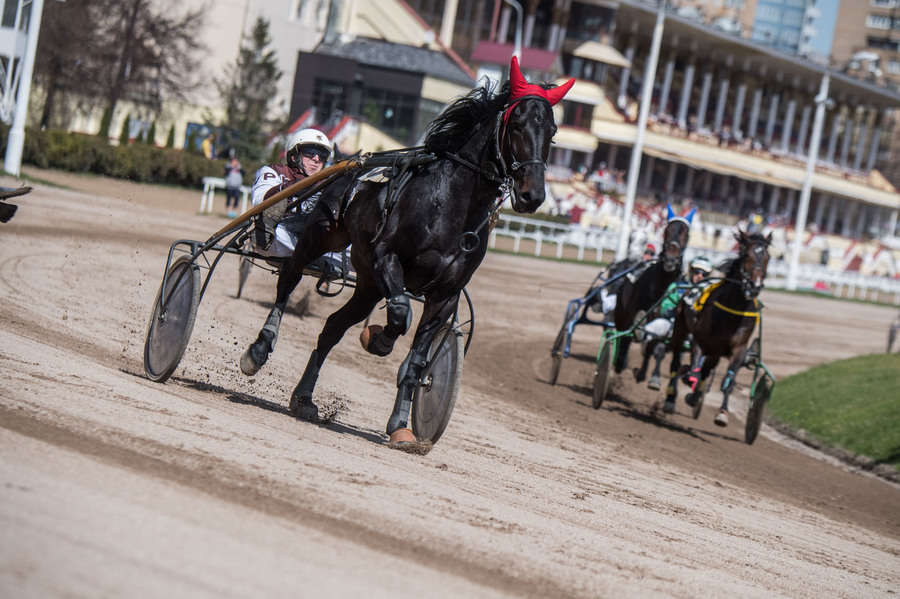 Объектив AF-s Nikkor 80-400 f/4.5-5.6 VR, 1/3200 c, f/6,3 ISO 500