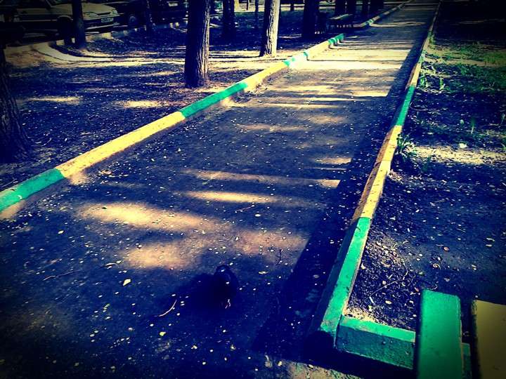 Пример фото