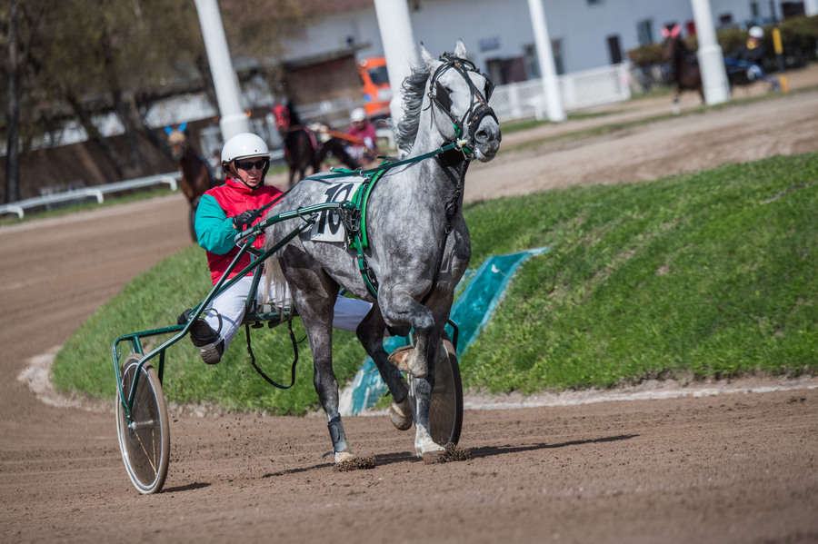 Объектив AF-s Nikkor 80-400 f/4.5-5.6 VR, 1/2500 c, f/7,1 ISO 500