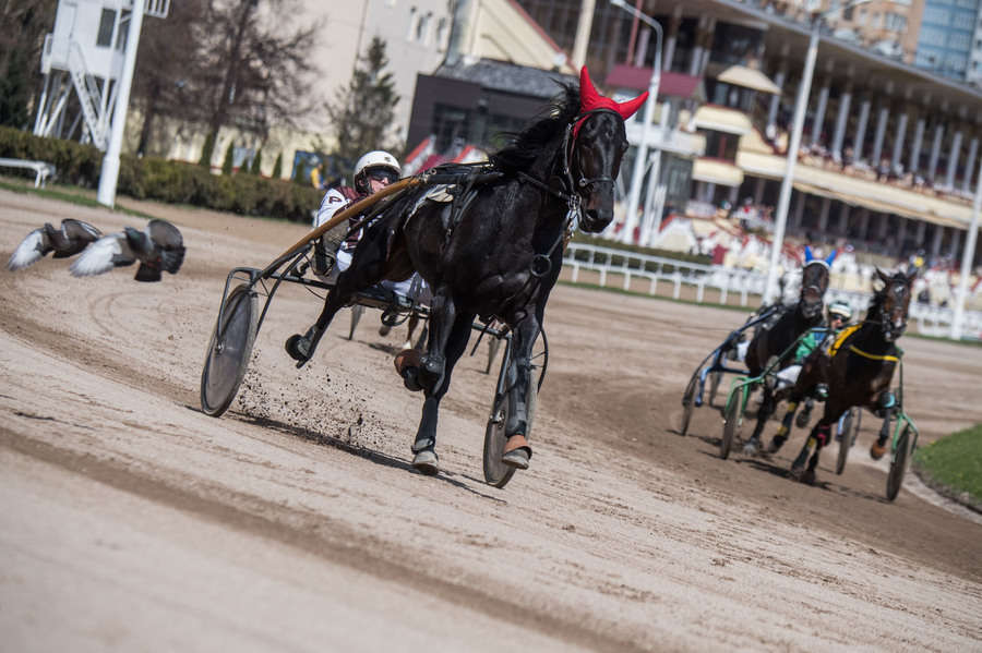 Объектив AF-s Nikkor 80-400 f/4.5-5.6 VR, 1/3200 c, f/6,3 ISO 500