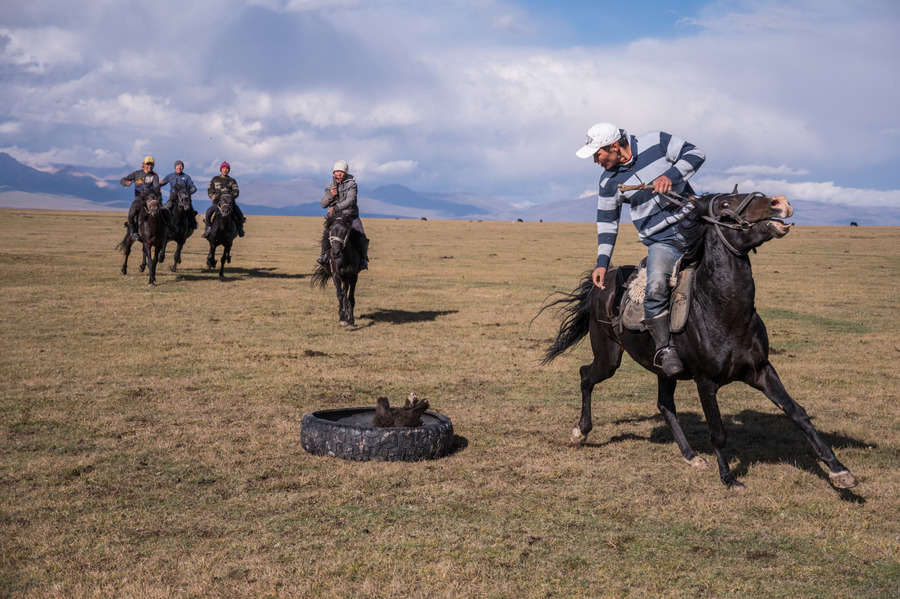 - Объектив AF-S DX Nikkor 18-300mm 3.5-5.6G ED VR, f/4, 1/6400, ISO 320