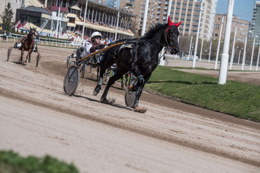 Объектив AF-s Nikkor 80-400 f/4.5-5.6 VR, 1/3200 c, f/6,3 ISO 500