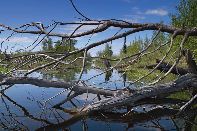 Тест зеркальный фотокамеры Sony SLT-A57 - завал на реке