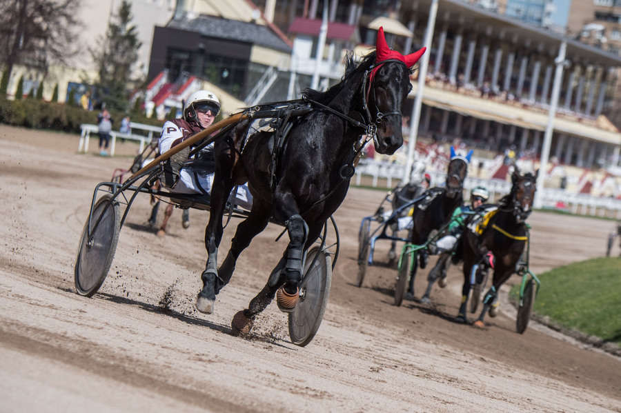 Объектив AF-s Nikkor 80-400 f/4.5-5.6 VR, 1/3200 c, f/6,3 ISO 500