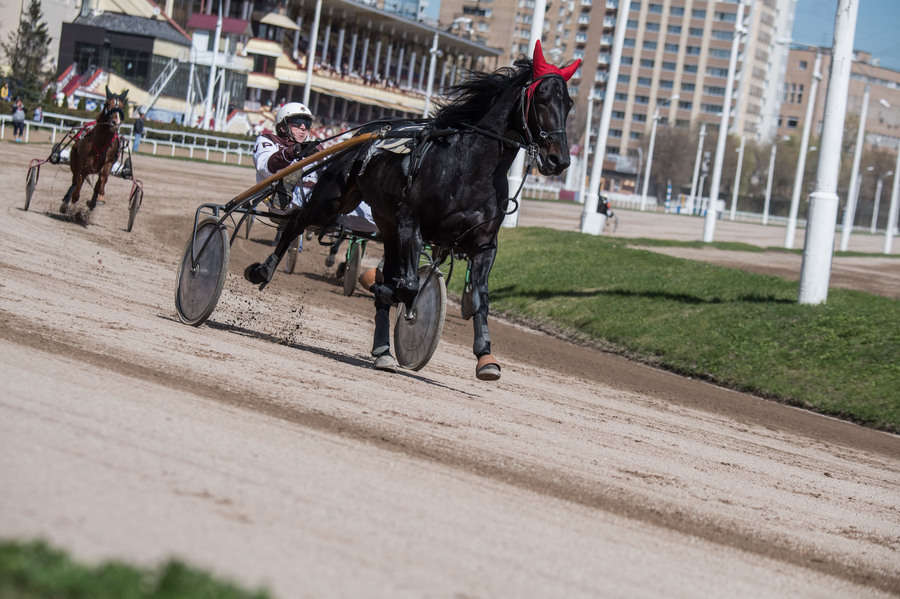 Объектив AF-s Nikkor 80-400 f/4.5-5.6 VR, 1/3200 c, f/6,3 ISO 500