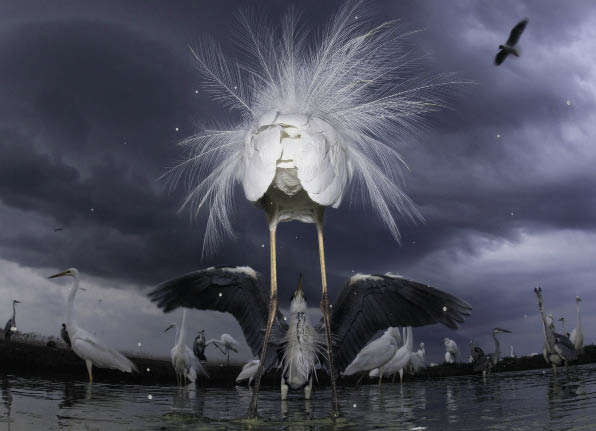 Последняя награда. Бенсе Матэ