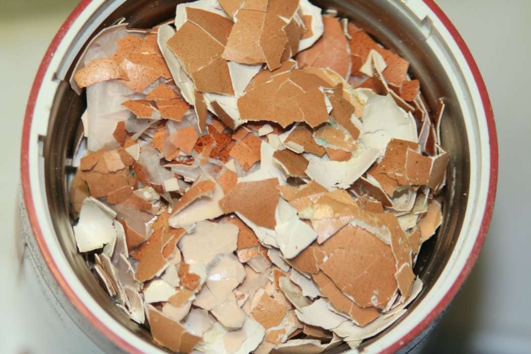 Яичная скорлупа в кофемолке Микма ИП-33