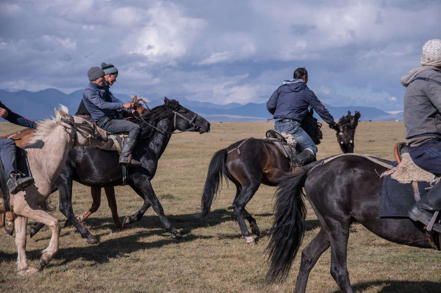 - Объектив AF-S DX Nikkor 18-300mm 3.5-5.6G ED VR, f/4, 1/6400, ISO 320