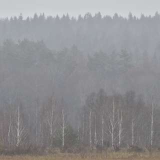 _DSC0046
