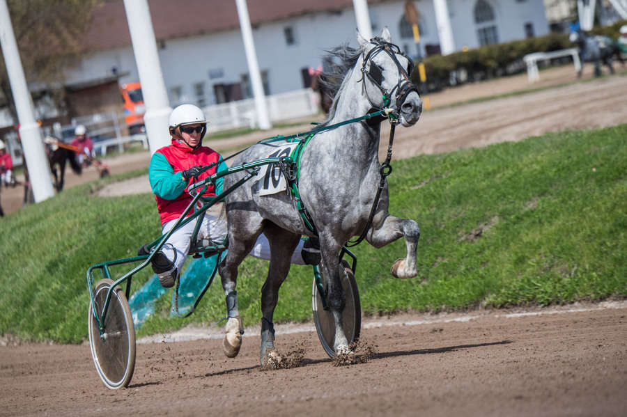 Объектив AF-s Nikkor 80-400 f/4.5-5.6 VR, 1/2500 c, f/7,1 ISO 500