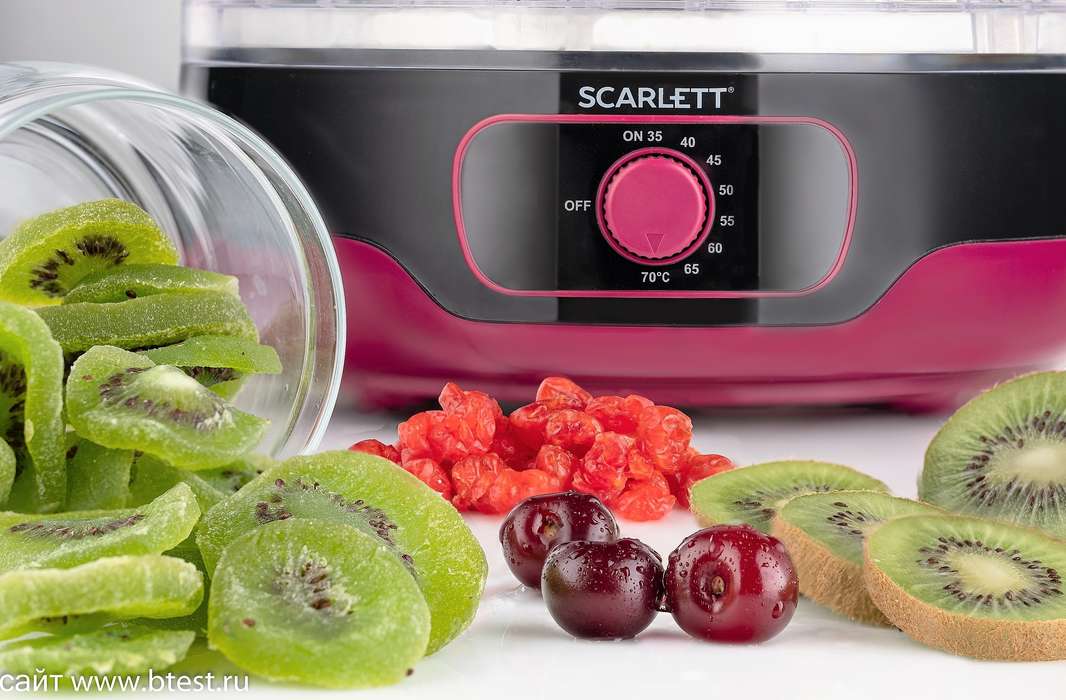 Scarlett_ SC-FD421012