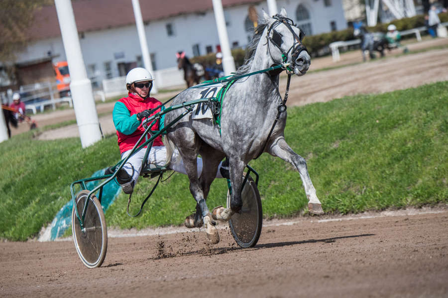 Объектив AF-s Nikkor 80-400 f/4.5-5.6 VR, 1/2500 c, f/7,1 ISO 500