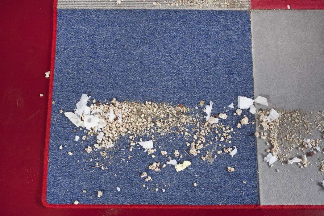 Результаты уборки премиум-пылесоса Miele  