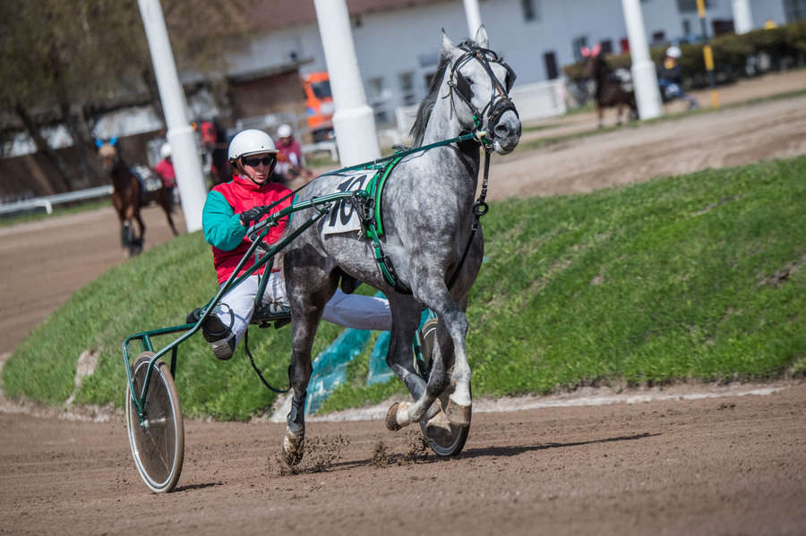 Объектив AF-s Nikkor 80-400 f/4.5-5.6 VR, 1/2500 c, f/7,1 ISO 500