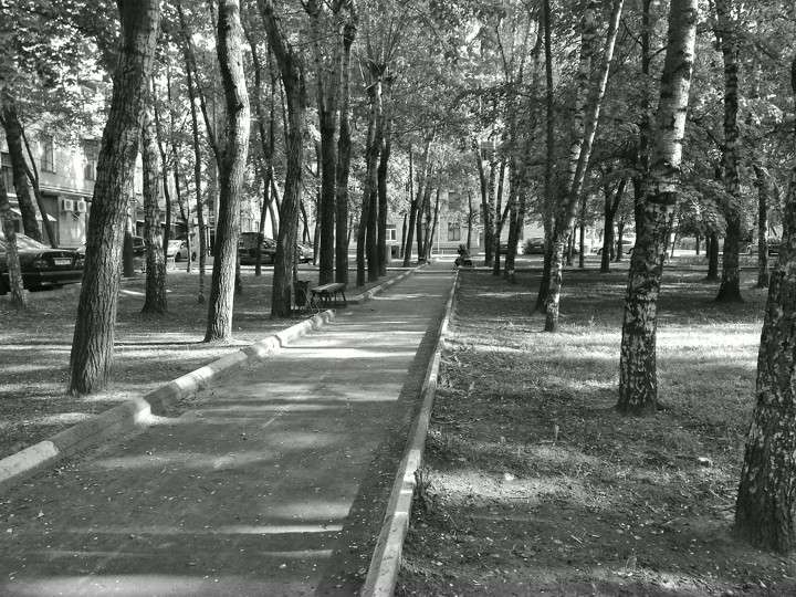 Пример фото