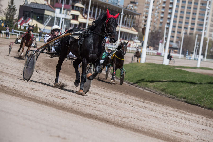 Объектив AF-s Nikkor 80-400 f/4.5-5.6 VR, 1/3200 c, f/6,3 ISO 500