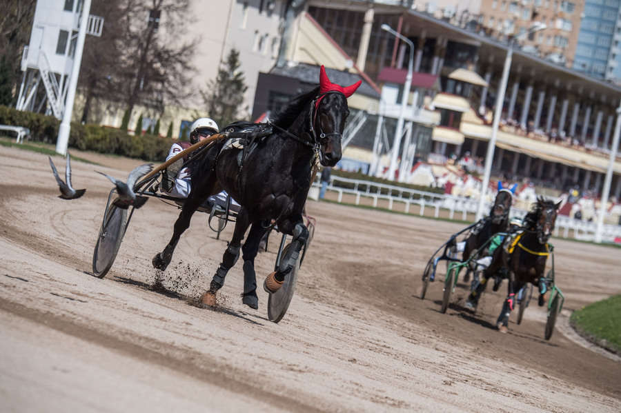 Объектив AF-s Nikkor 80-400 f/4.5-5.6 VR, 1/3200 c, f/6,3 ISO 500