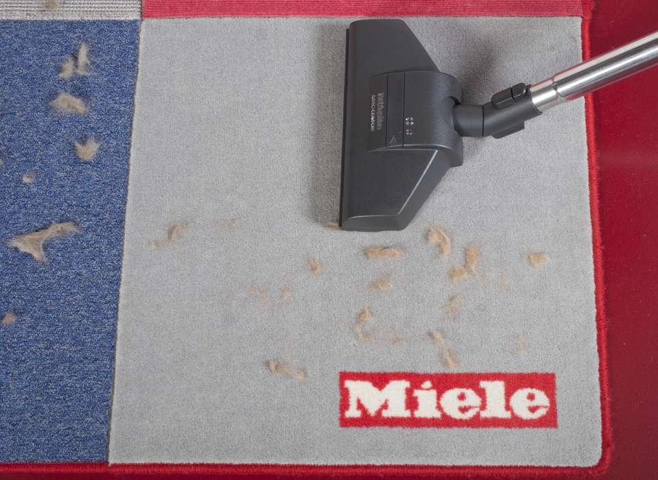 Результаты уборки пылесоса Miele шерсти  