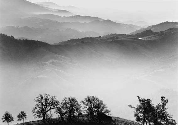 John Wimberley. Misty Landscape With Pool. 1984 