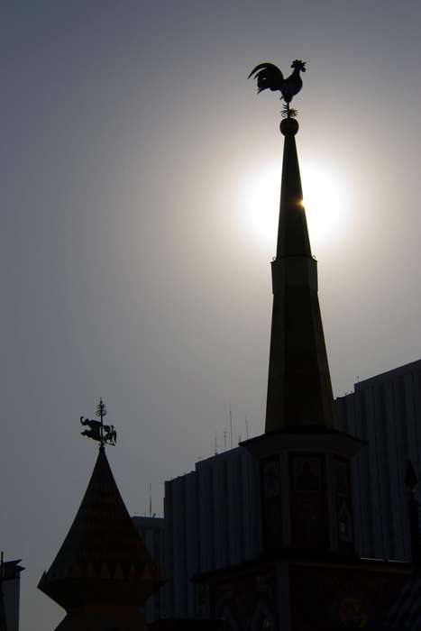 Фотокамера Nikon D5300Foto_3_DSC_0003_2