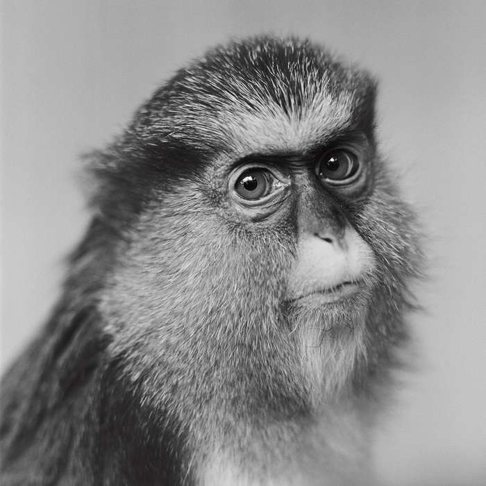 8. © Яцек Кущ 