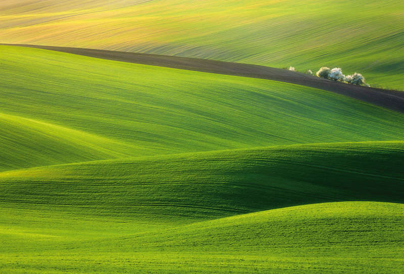 9. © Кшиштоф Борко 