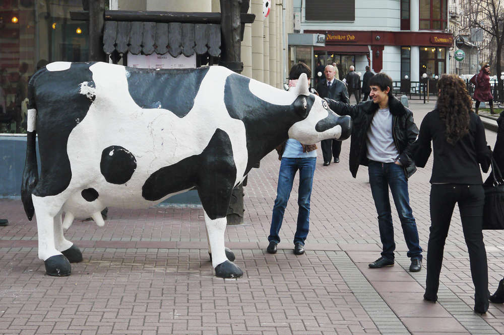 Муляж коровы