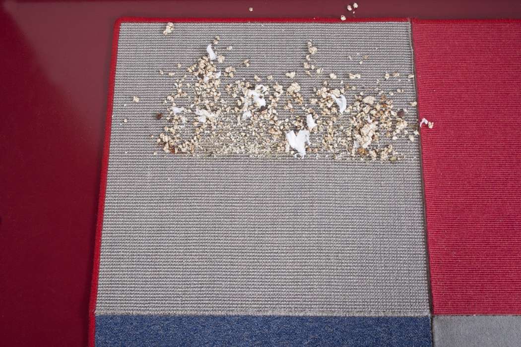 Результаты уборки премиум-пылесоса Miele  