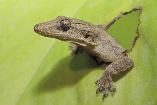 Портрет в интерьере