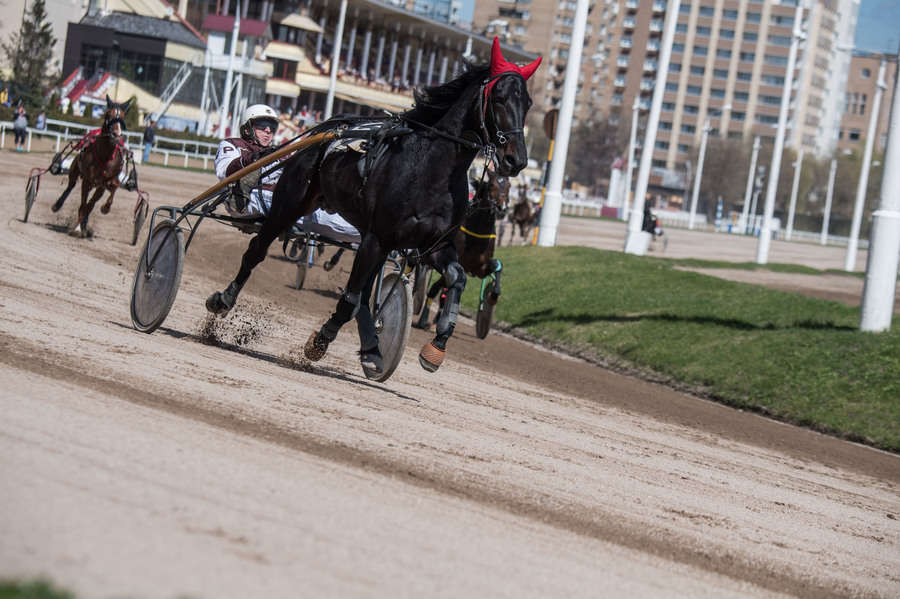 Объектив AF-s Nikkor 80-400 f/4.5-5.6 VR, 1/3200 c, f/6,3 ISO 500