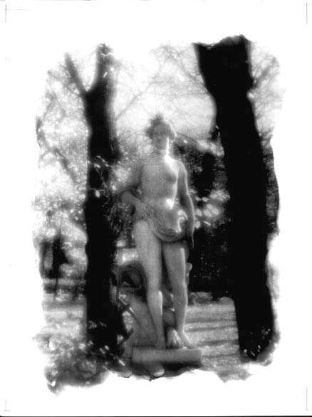 Красота. Из цикла Летний сад. 1996