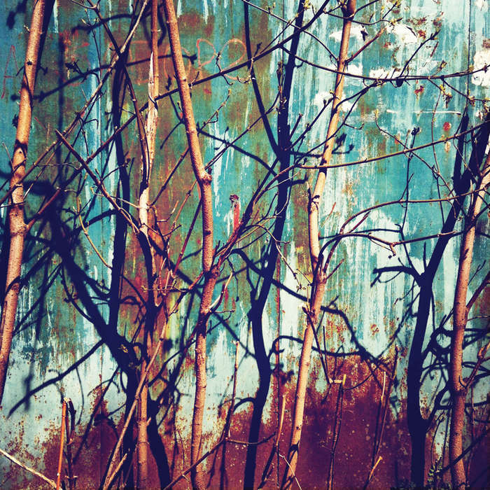 28.04.2012. Весна