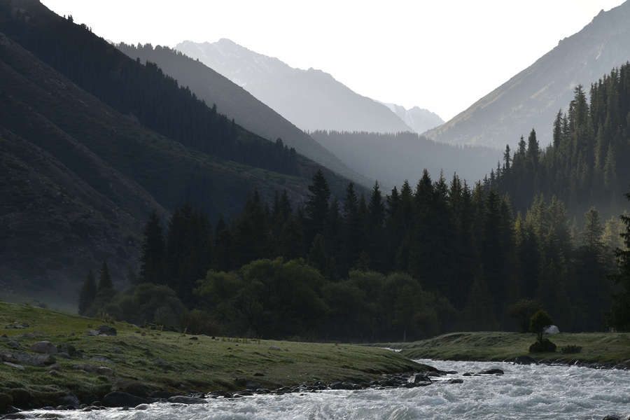 4 - Нормальный