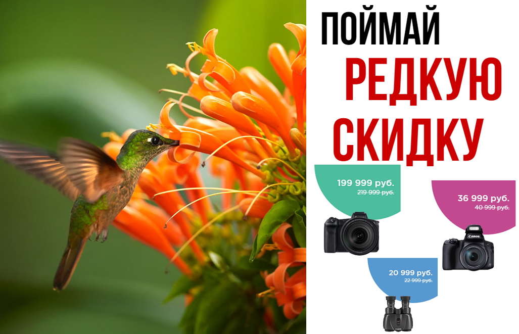 image_11