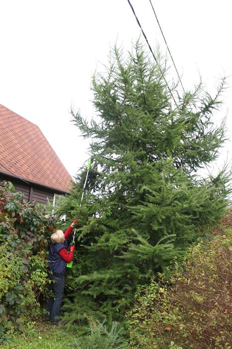 Greenworks G40PSF в работе