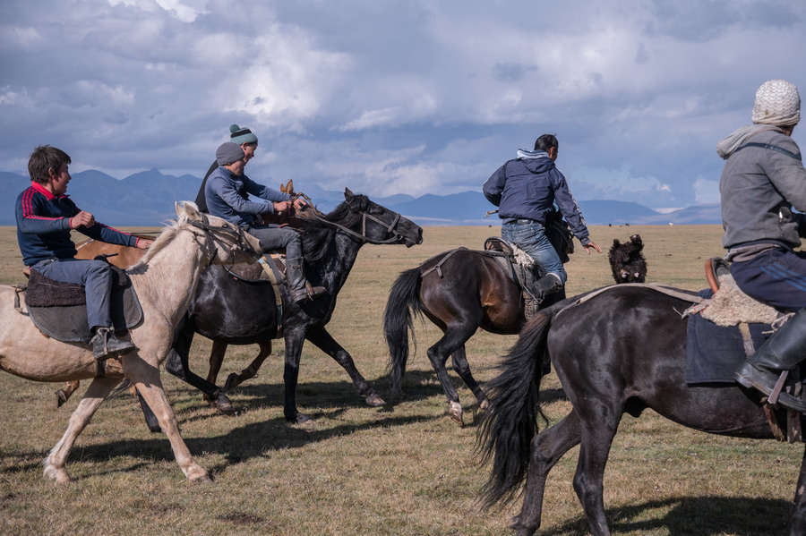 - Объектив AF-S DX Nikkor 18-300mm 3.5-5.6G ED VR, f/4, 1/6400, ISO 320