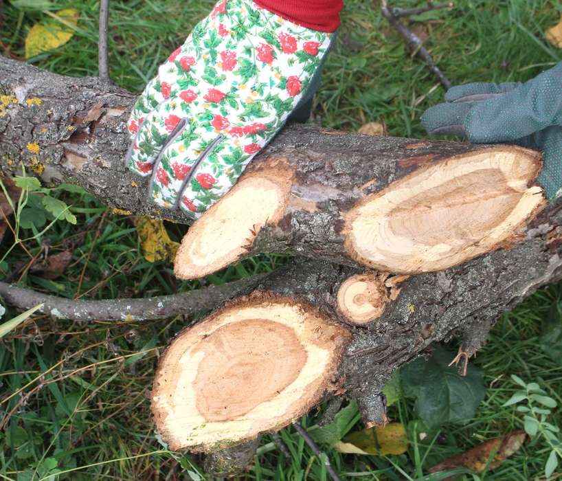 Greenworks G40PSF спил.