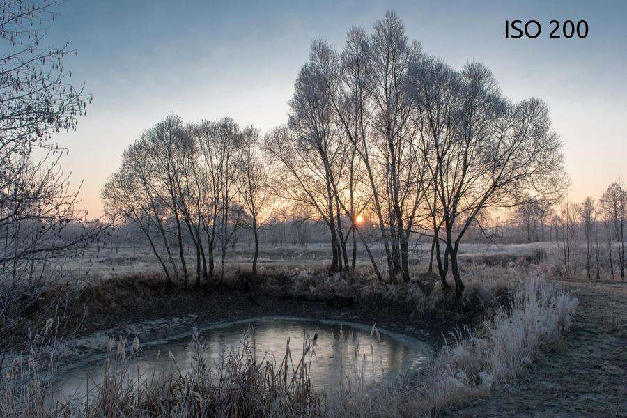 ISO 200