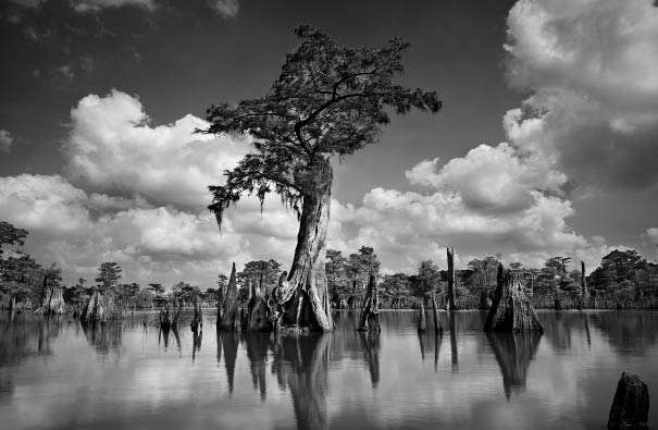 Clyde Butcher. Deadlakes. 1997