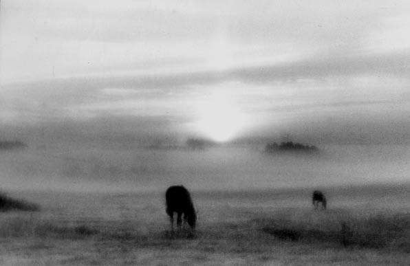 Утро в августе. 1999