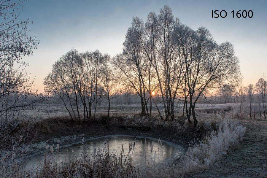 ISO 1600