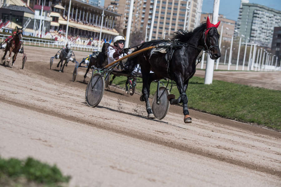 Объектив AF-s Nikkor 80-400 f/4.5-5.6 VR, 1/3200 c, f/6,3 ISO 500