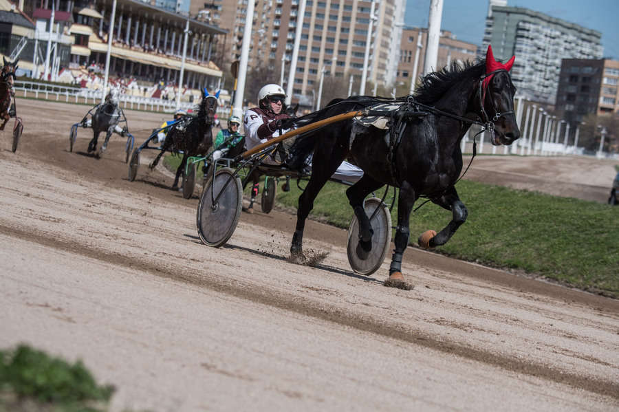 Объектив AF-s Nikkor 80-400 f/4.5-5.6 VR, 1/3200 c, f/6,3 ISO 500