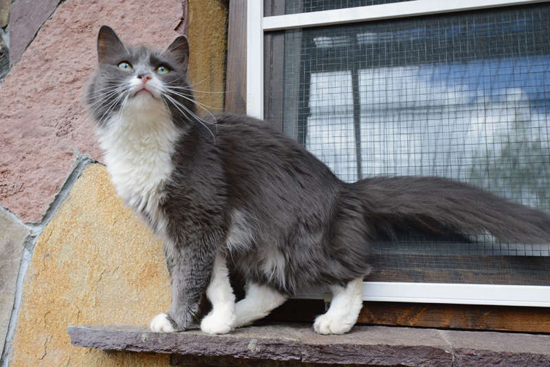 Тест зеркальной фотокамеры Nikon D8000e - пейзаж в Москве