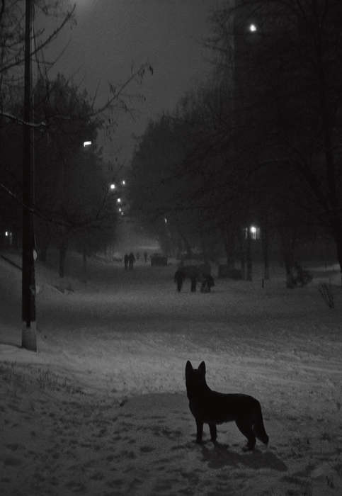 «Ожидание». Евгений Жернаков, 24 года (г. Днепропетровск, Украина). 