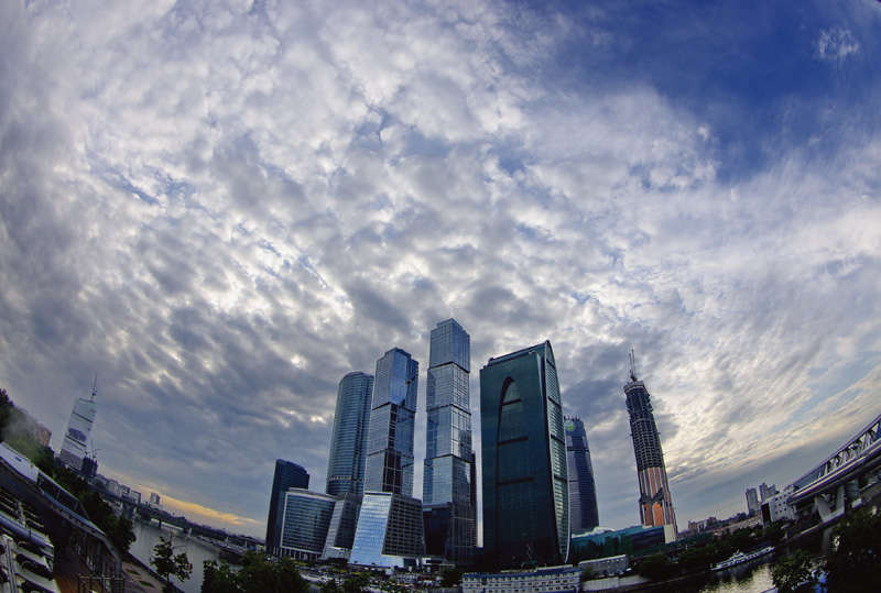 Устремленные в небо