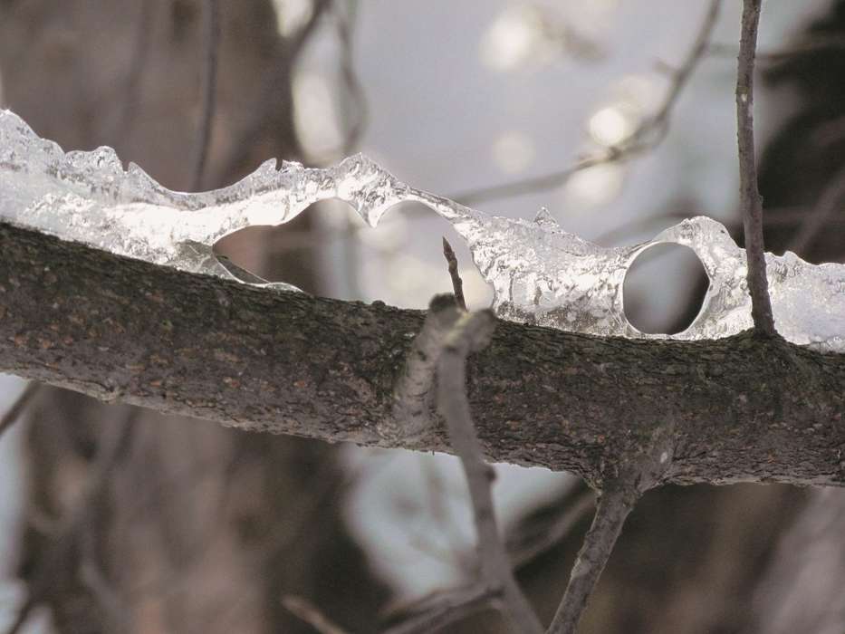 Макросъемка