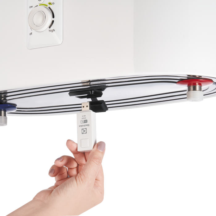 электролюкс